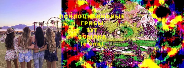бошки Алзамай