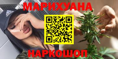 сатива Кандалакша