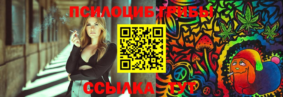 Галлюциногенные грибы GOLDEN TEACHER Петропавловск-Камчатский