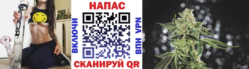 Марихуана THC 21%  дарнет шоп  Петропавловск-Камчатский 